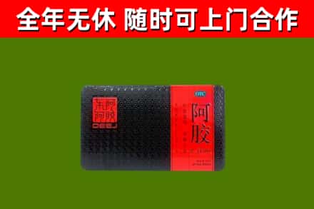 石景山区回收阿胶